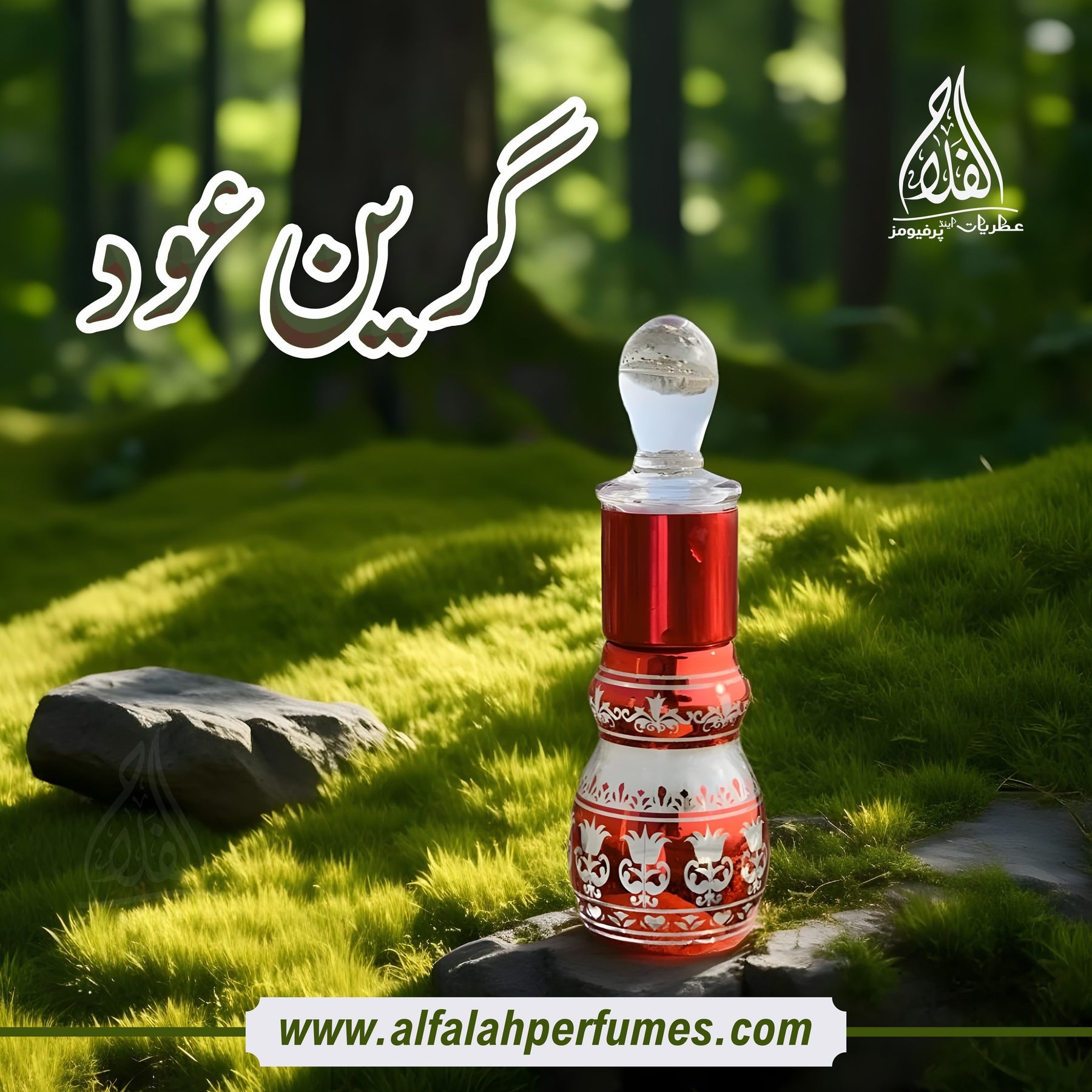 GREEN OUD