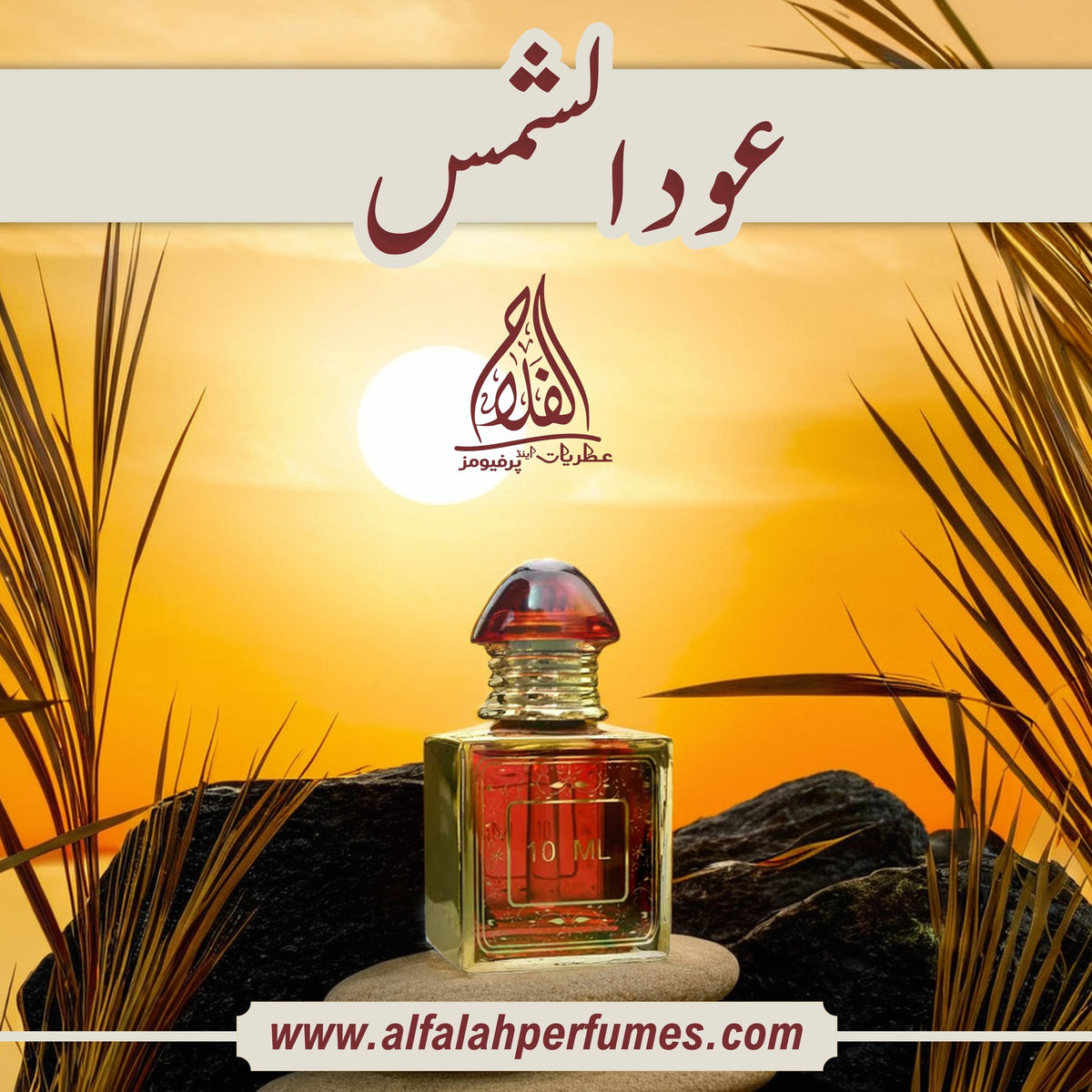 OUD AL-SHAMS / عود الشمس