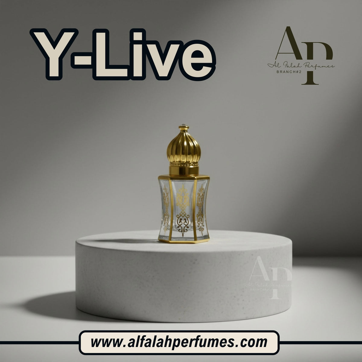 Y - LIVE